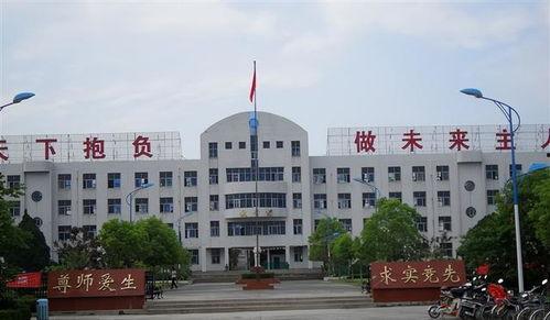 新河中学爆料新闻事件,揭秘校园内幕引发社会关注